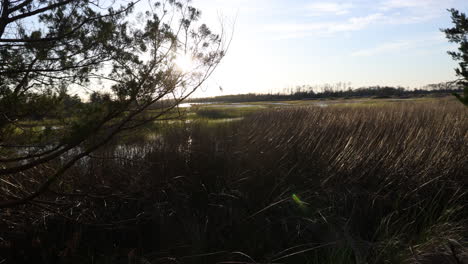 Wide-salt-marsh-in-the-early-spring,-into-the-sun