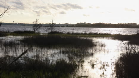 Salt-marsh-or-wetlands-in-the-early-spring,-into-the-sun