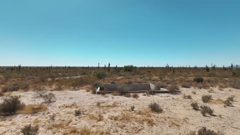 Paseo-Aéreo-Sobre-El-Desierto-A-Baja-Altura-Entre-Cactus-Y-Arbustos