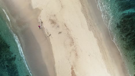 Birdseye-Drone-View-Aerial-Over-Sandy-Beach-Shore-With-Surfer-Surrounded-By-Turquoise-Ocean,-4K-Costa-Rica
