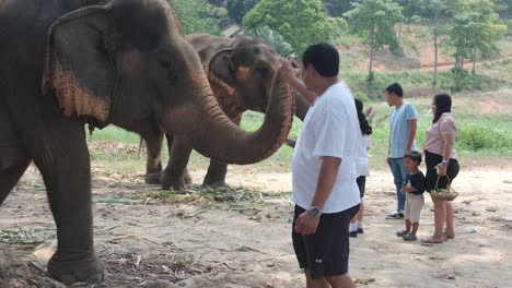 Eine-Asiatische-Touristenfamilie-Füttert-Indische-Elefanten-In-Einem-Elefantencamp-In-Asien,-Thailand