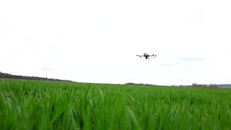Agriculture-Drone-Flying-Above-Green-Crops-in-Farming-Field,-Wide-View