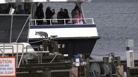 Leute-Veranstalten-Party-Auf-Großem-Boot