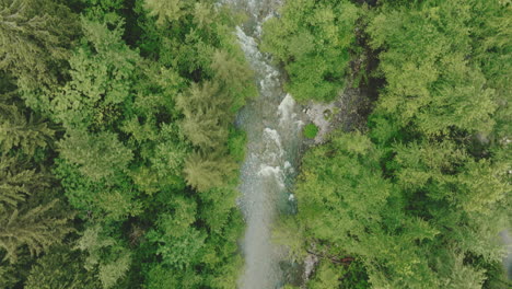 Birdseye-view-of-a-river-in-a-vibrant-green-forest