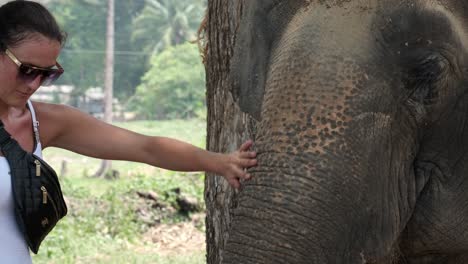 Una-Hembra-Alimenta-A-Un-Elefante-Indio-En-Un-Campamento-De-Elefantes-En-Asia,-Tailandia.