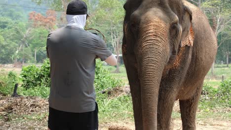 man-take-photo-and-feeds-Indian-Elephants-in-an-Elephant-camp-in-Asia,-Thailand