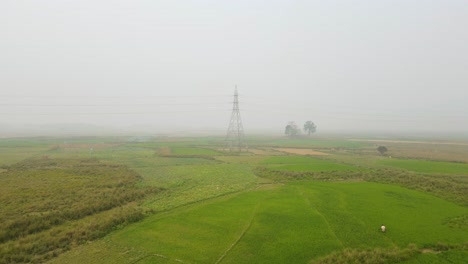 Aerial-view-flying-over-misty-Bangladesh-paddy-farmland-towards-electricity-pylon-tower
