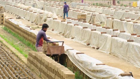 Asian-man-stacks-newly-made-bricks-on-wheelbarrow