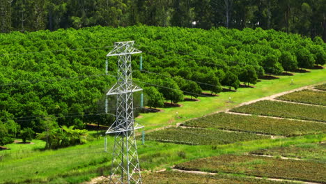 Vista-De-Drones-Sobre-Tierras-De-Cultivo-Rurales-Verdes-Con-Líneas-Eléctricas-En-El-Campo-Australiano,-Paralaje-De-Teleobjetivo-4k