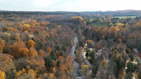 Luftaufnahme-Eines-Flusses,-Der-Sich-An-Einem-Sonnigen-Herbsttag-Durch-Einen-Wald-Schlängelt
