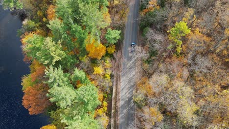 Top-down-aerial-shot-of-cars-driving-through-a-colorful-fall-forest