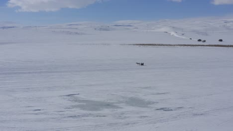 Horse-dragging-sled-on-frozen-cildid-lake-across-open-landscape-turkey