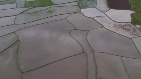 Empty-rice-paddies-with-reflection-of-clouds-in-water-at-Sumba-island,-aerial
