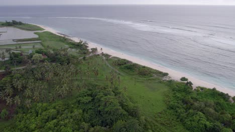 Wide-shot-of-empty-Pantai-Marosi-at-Sumba-island-with-palm-trees,-aerial