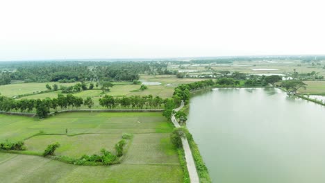 Aerial-shot-of-a-village-with-lakes-and-agricultural-field-in-India