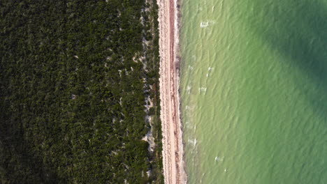 Ein-Schmaler-Sandstrand,-Der-üppiges-Baumlaub-Und-Grünes-Meer-Trennt