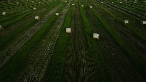 Aerial-view-hay-bales-in-the-green-agriculture-field,-New-Zealand