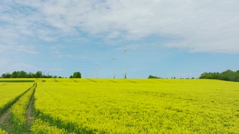 Luftaufnahme-Von-Windturbinen,-Die-Im-Windpark-Erneuerbare-Energie-Erzeugen,-Blühende-Gelbe-Rapsfelder,-Ländliche-Landschaft,-Sonniger-Frühlingstag,-Breite-Drohnenaufnahme,-Die-Sich-Tief-Vorwärts-Bewegt
