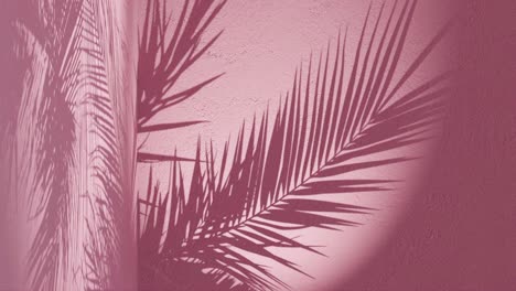 Pink-textured-wall-with-palm-frond-shadow-waving-in-wind-on-back,-vertical