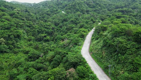 Beautiful-serpentine-road-passing-through-lush-green-hill-forest,aerial