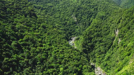 Aerial-flyover-river-surrounded-in-deep-rainforest-during-sunny-day---establishing-shot