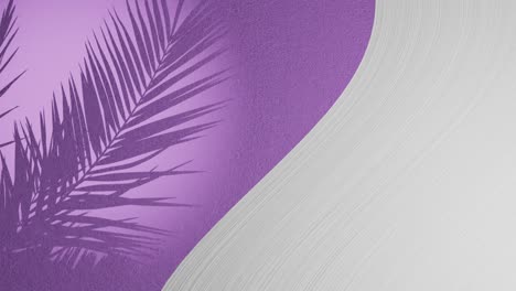 White-plaster-wave-next-to-purple-texture-background-with-palm-frond-shadow