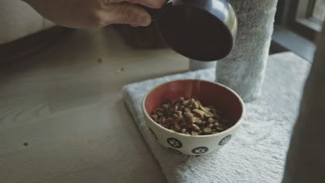 Pouring-Cat-Food-Into-Feeding-Bowl-In-The-House