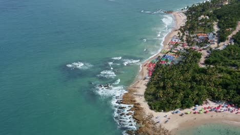 Wide-aerial-drone-bird's-eye-tilt-up-shot-of-the-famous-tropical-Coqueirinhos-beach-in-Paraiba,-Brazil-with-colorful-beach-umbrella's-for-tourists,-palm-trees,-golden-sand-and-turquoise-water