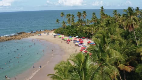 Left-trucking-aerial-drone-shot-of-the-famous-tourist-destination-Coqueirinhos-beach-in-Paraiba,-Brazil-surrounded-by-palm-trees-with-people-swimming-and-enjoying-the-shade-under-colorful-umbrellas