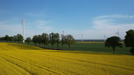 Aerial-forward-view-of-a-yellow-wheat-field-with-windmills-in-background