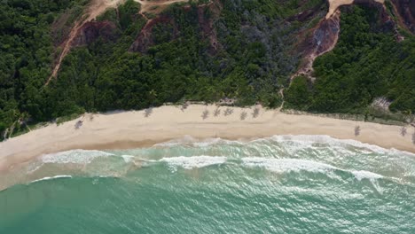 Extreme-wide-aerial-drone-bird's-eye-top-view-of-the-famous-tropical-Coqueirinhos-beach-in-Paraiba,-Brazil-with-colorful-cliffs-covered-in-exotic-plants-and-palm-trees,-golden-sand-and-turquoise-water