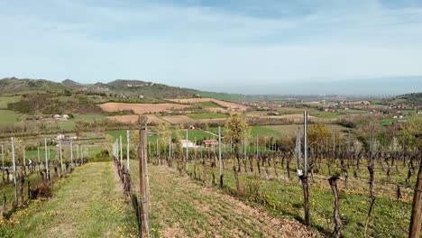 Weinberg-Weingut-Ohne-Wachstum-In-Der-Toskanischen-Landschaft-In-Der-Nebensaison