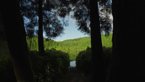 Bezaubernde-Aussicht-Auf-Die-Lagune-Von-Canário-Inmitten-Der-üppigen-Vegetation-Der-Azoren,-Portugal