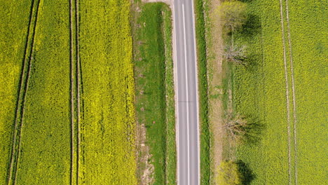 Beautiful-scenic-roads-passing-though-green-fields-of-Poland,drone-shot