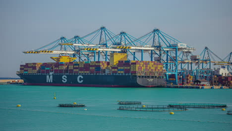 MSC-Vessel-at-Malta-freeport-being-loaded,-time-lapse-view