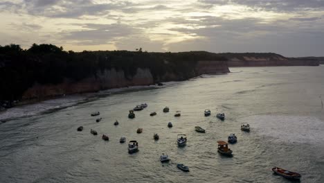 Rising-aerial-drone-shot-flying-over-a-cluster-of-small-fishing-boats-docked-on-the-tropical-Pipa-beach-during-golden-hour-surrounded-by-large-cliffs-in-Rio-Grande-do-Norte,-Brazil