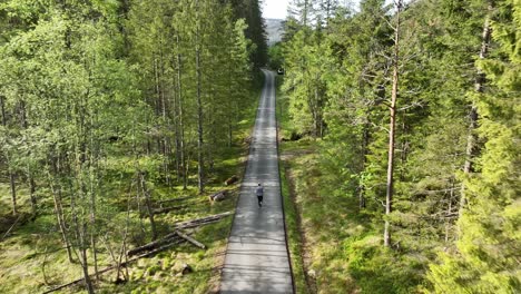 Man-jogging-on-paved-forest-road,-high-angle-following-shot-from-drone
