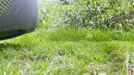 closeup-of-green-lawn-in-a-garden-being-cut-by-a-lawnmower