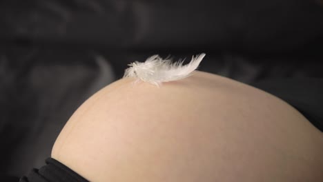 A-white-feather-gently-falls-on-a-pregnant-belly
