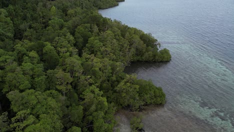 Straight-shot-above-beautifull-green-jungle,-coral-reef,-and-calm-sea-in-Raja-Ampat-Indonesia