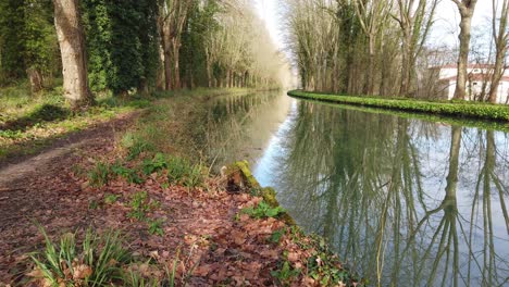 Baumallee,-Die-Sich-Im-Stillen-Wasser-Eines-Französischen-Kanals-Spiegelt