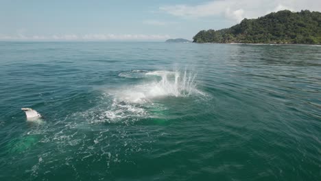 Mutter-Und-Babywal-Schlagen-Wasserflossenschwanz-In-Costa-Rica
