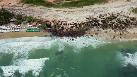 Aerial-drone-birds-eye-top-view-of-small-waves-crashing-into-rocks-on-the-famous-tropical-Love-beach-in-Pipa-Brazil-in-Rio-Grande-do-Norte-with-golden-sand,-warm-turquoise-water-and-colorful-umbrellas