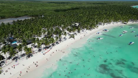 Aerial-drone-shot-of-the-beach-at-Saona-Island-in-Dominican-Republic-full-of-tourists