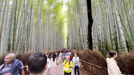 Crowd-of-tourists-walking-in-Arashiyama-Bamboo-Grove-in-Kyoto,-Japan