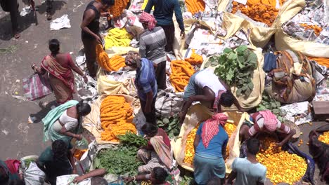 Stock-footage-at-Asia's-largest-flower-market