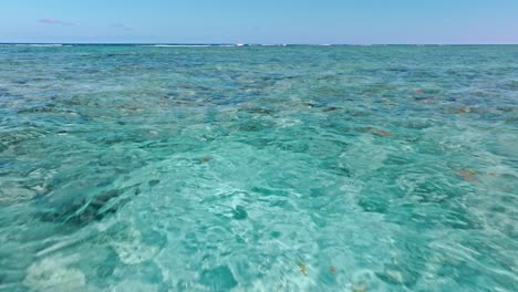Zona-De-Buceo-Y-Corales-En-Playa-Blanca-Watery,-Punta-Cana