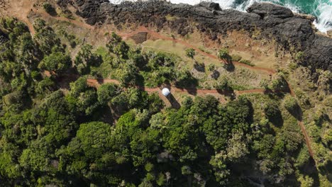 Fingal-Heads-lighthouse-sitting-on-top-of-an-ocean-headland-surrounded-by-lush-coastal-vegetation