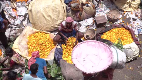 Stockvideos-Auf-Asiens-Größtem-Blumenmarkt