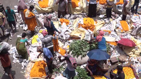 Stockvideos-Auf-Asiens-Größtem-Blumenmarkt